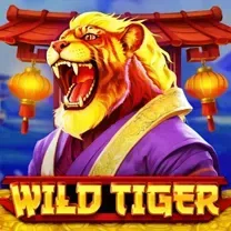 Aplicativo De Login Do BBCasino Casino